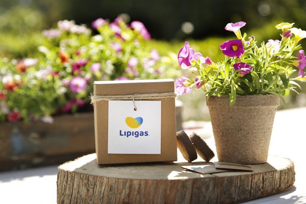 marketing sustentable y marketing verde