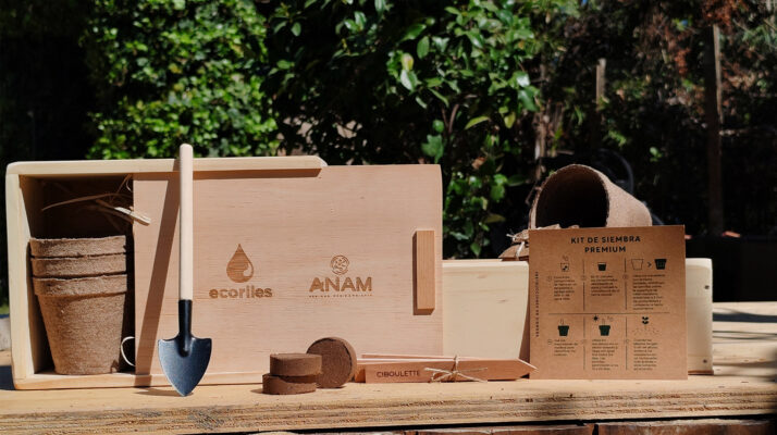 jemplos de regalos corporativos ecológicos en Chile de Ecologift.